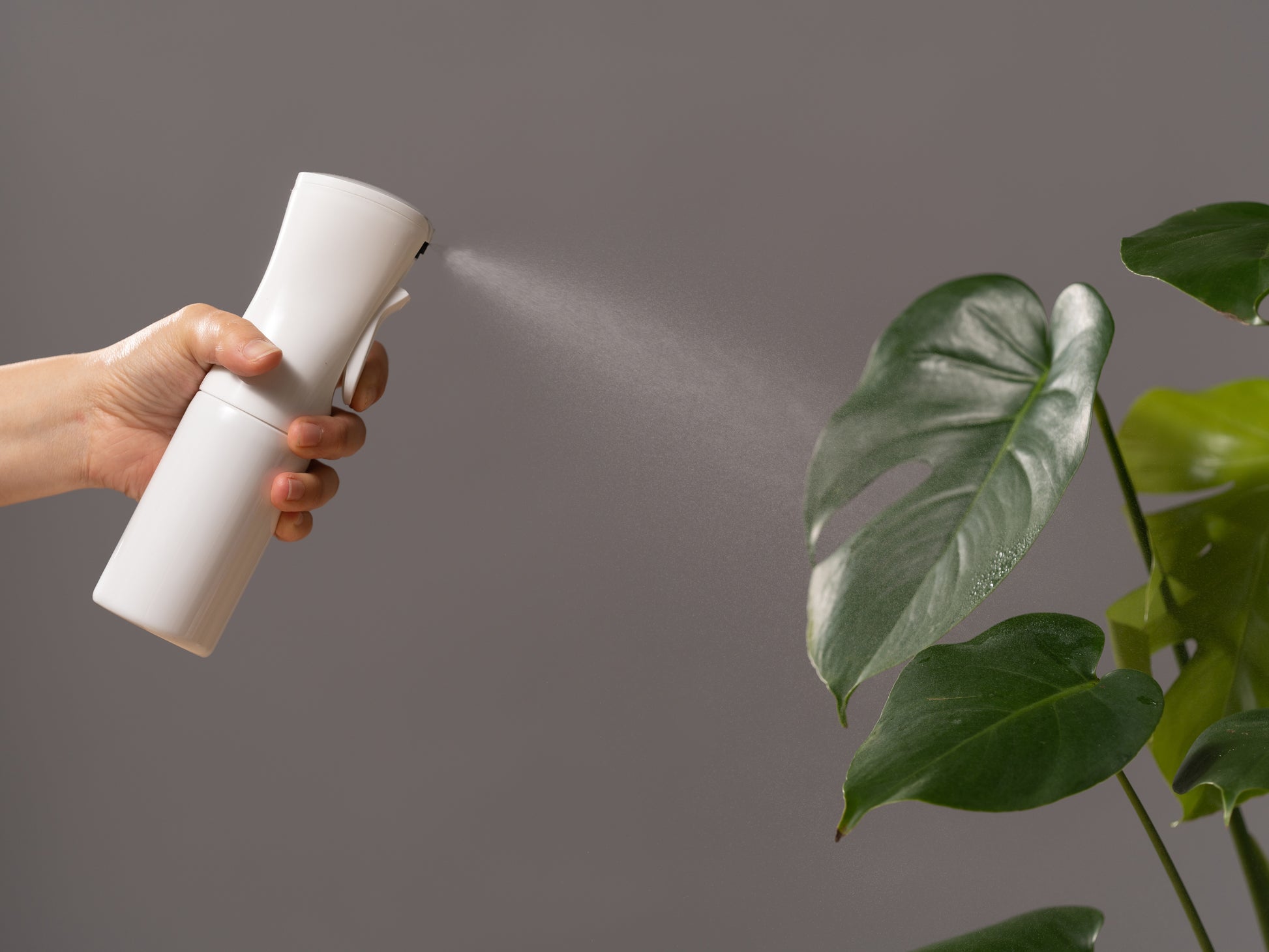High-pressure micro spray